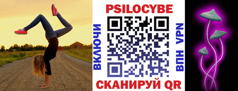 Галлюциногенные грибы Psilocybine cubensis  Бабушкин 